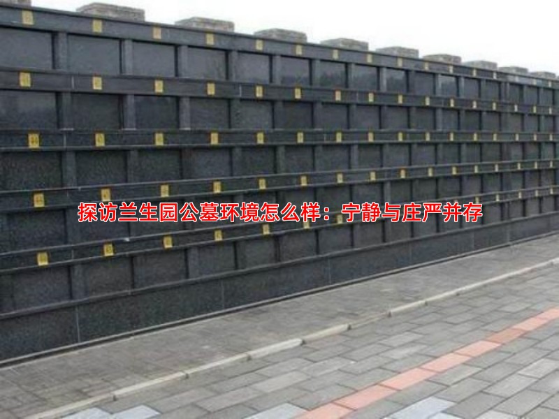 探访兰生园公墓环境怎么样：宁静与庄严并存