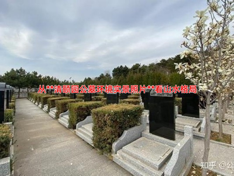 从**清颐园公墓环境实景照片**看山水格局