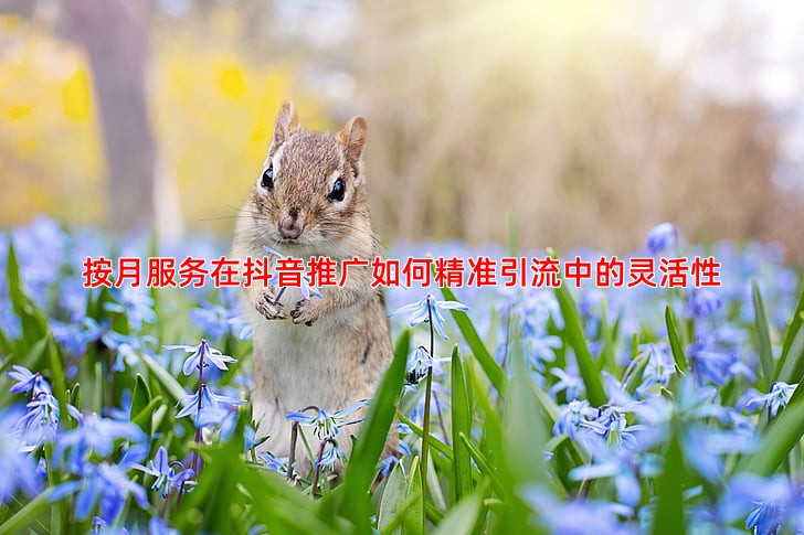 按月服务在抖音推广如何精准引流中的灵活性