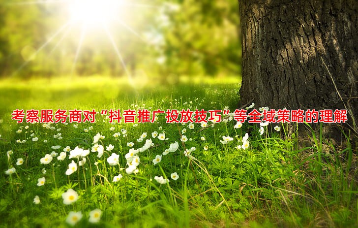 考察服务商对“抖音推广投放技巧”等全域策略的理解