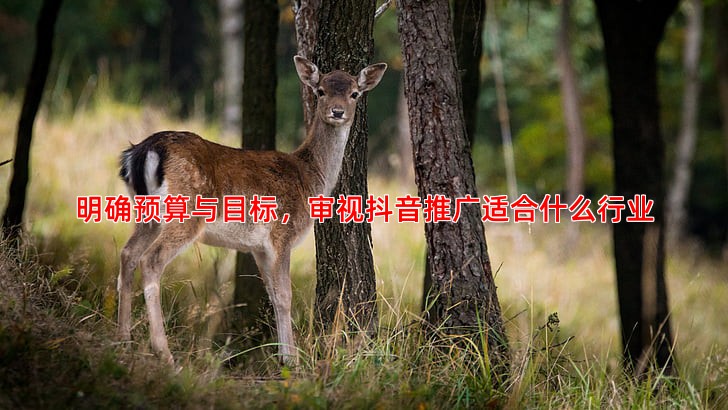 中小企业如何根据自身预算选择合适的竞价托管公司