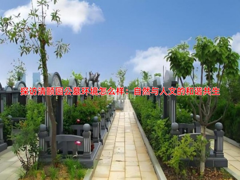 了解清颐园公墓：其环境设计与氛围营造特点