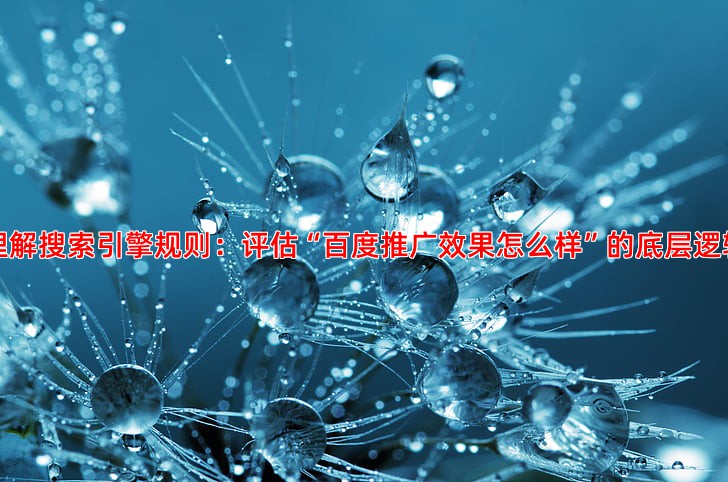 从入门到精通掌握这些SEO技巧提升排名