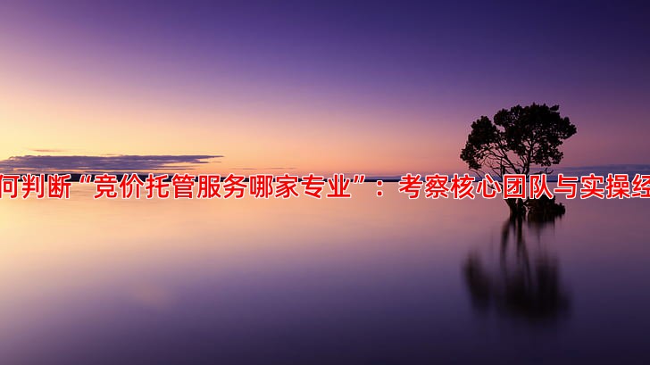 竞价托管服务专业选择指南避免踩坑的关键点