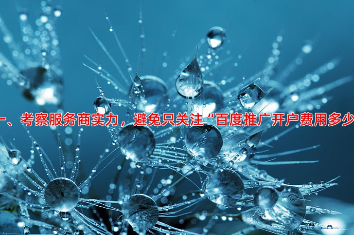 企业选择竞价托管公司前必看的几个标准