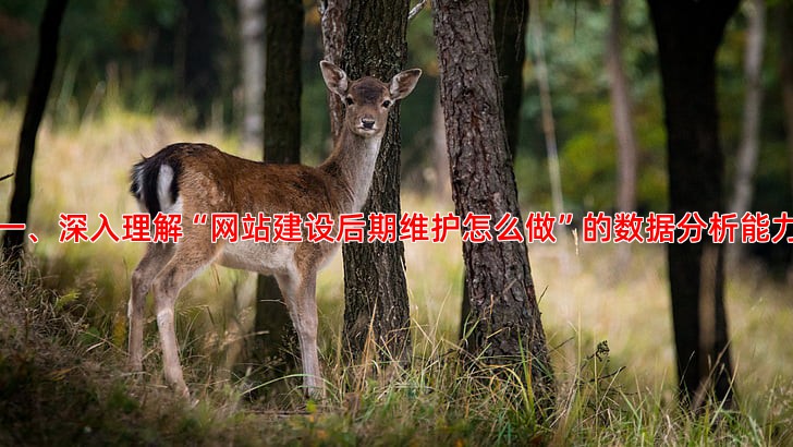 专业竞价托管服务应该具备哪些核心能力