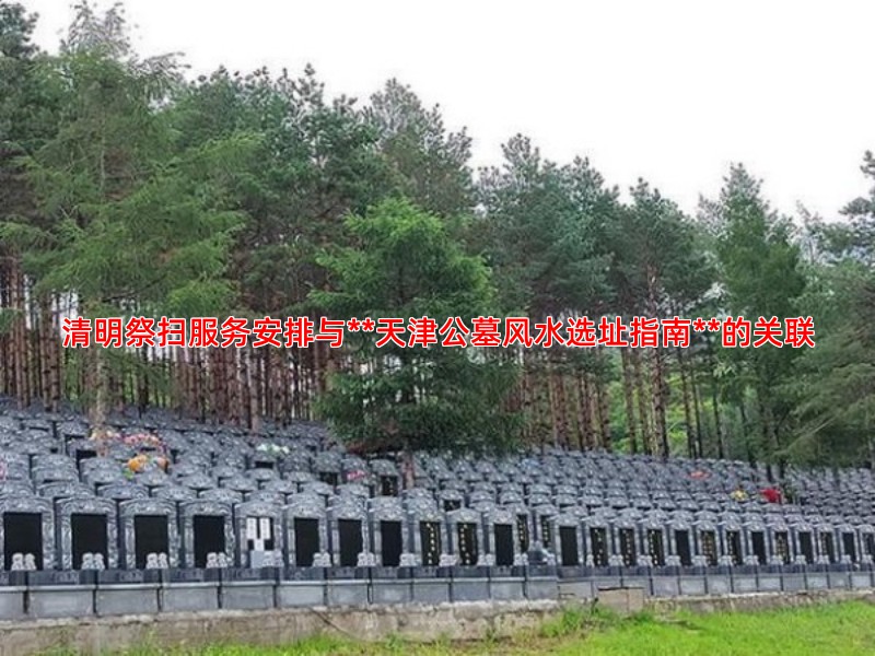 清明祭扫服务安排与**天津公墓风水选址指南**的关联