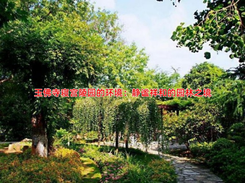 玉佛寺寝宫陵园的环境：静谧祥和的园林之境