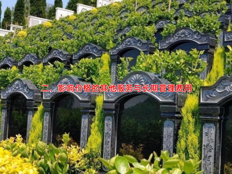 二、影响价格的其他服务与长期管理费用
