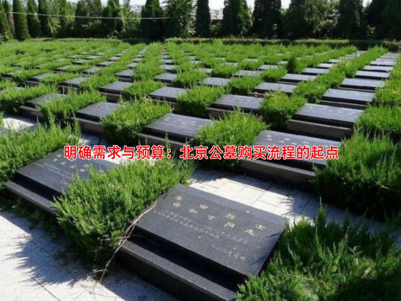 明确需求与预算：北京公墓购买流程的起点