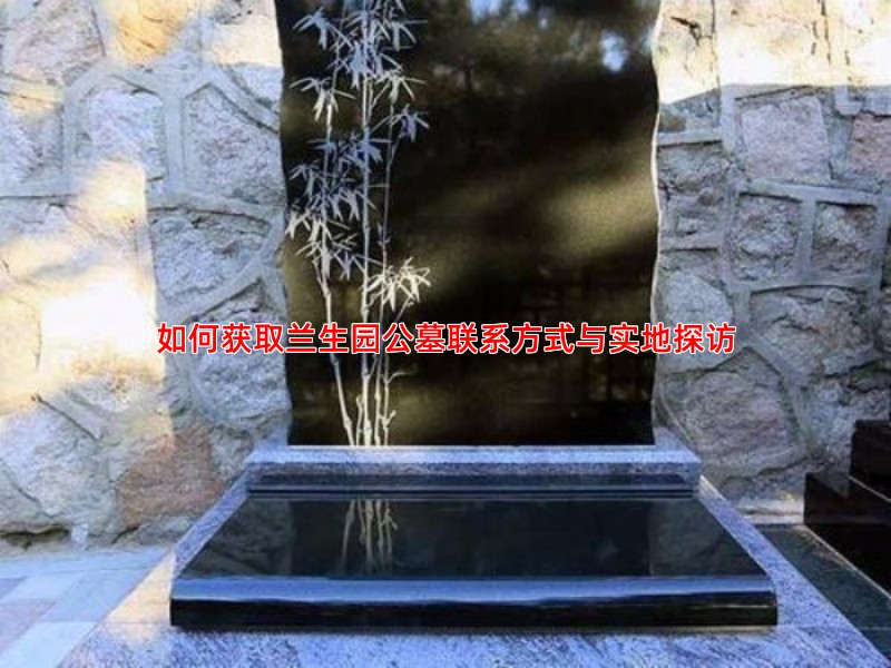 如何获取兰生园公墓联系方式与实地探访