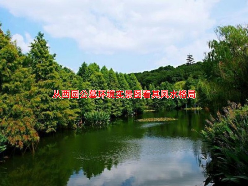 从西园公墓环境实景图看其风水格局