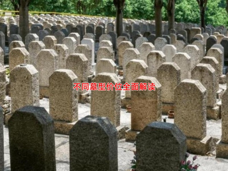 不同墓型价位全面解读