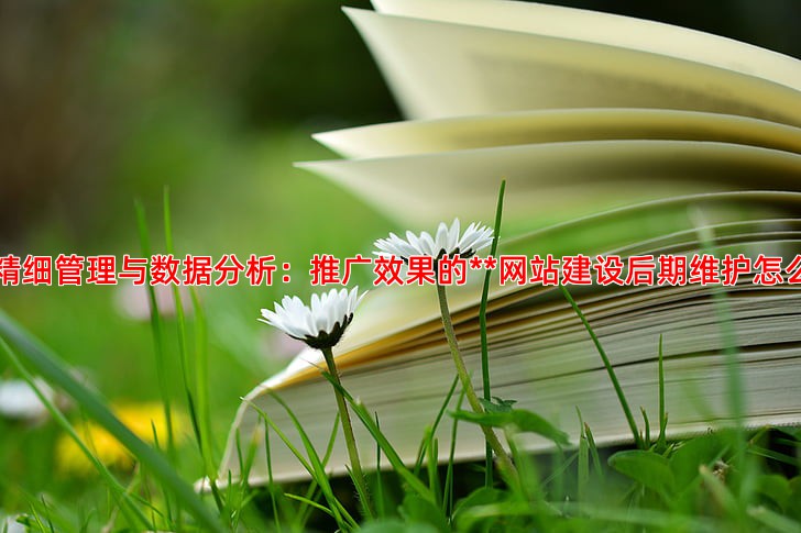 账户精细管理与数据分析：推广效果的**网站建设后期维护怎么做**