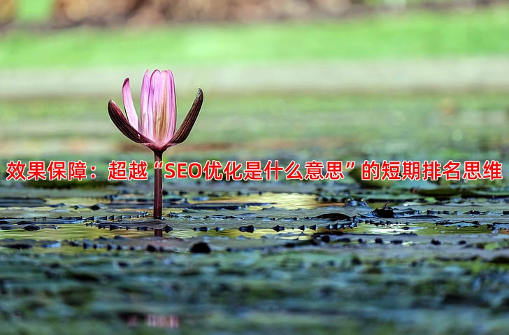 从效果保障到数据透明教你挑选靠谱的竞价托管服务