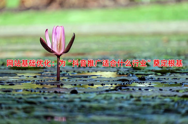 SEO优化具体操作流程手把手教你做好网站优化
