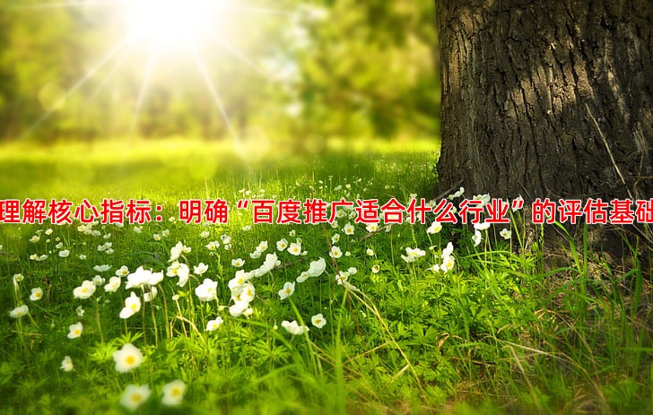 企业如何衡量百度推广效果关键指标解读