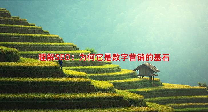 理解SEO：为何它是数字营销的基石