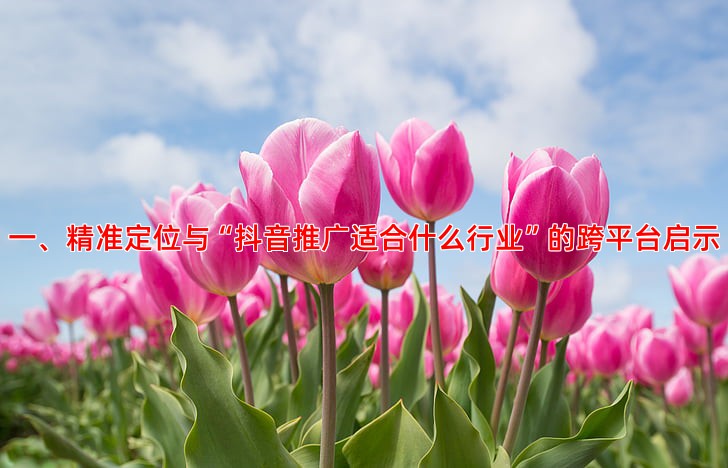 如何提升百度推广效果实战经验与优化策略分享