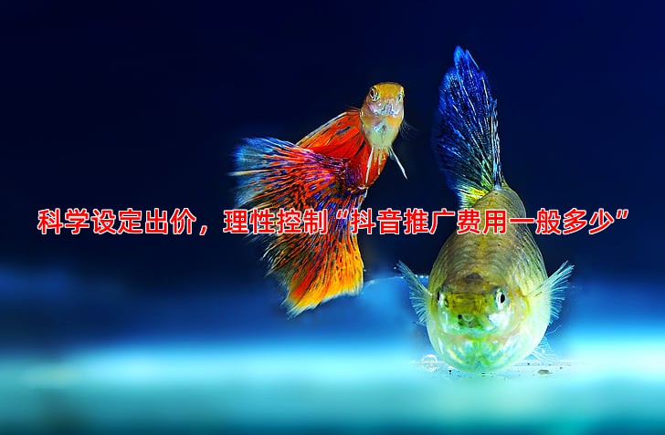 竞价托管优化指南关键词出价与匹配方式详解