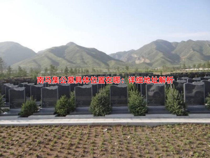 南马集公墓具体位置在哪：详细地址解析