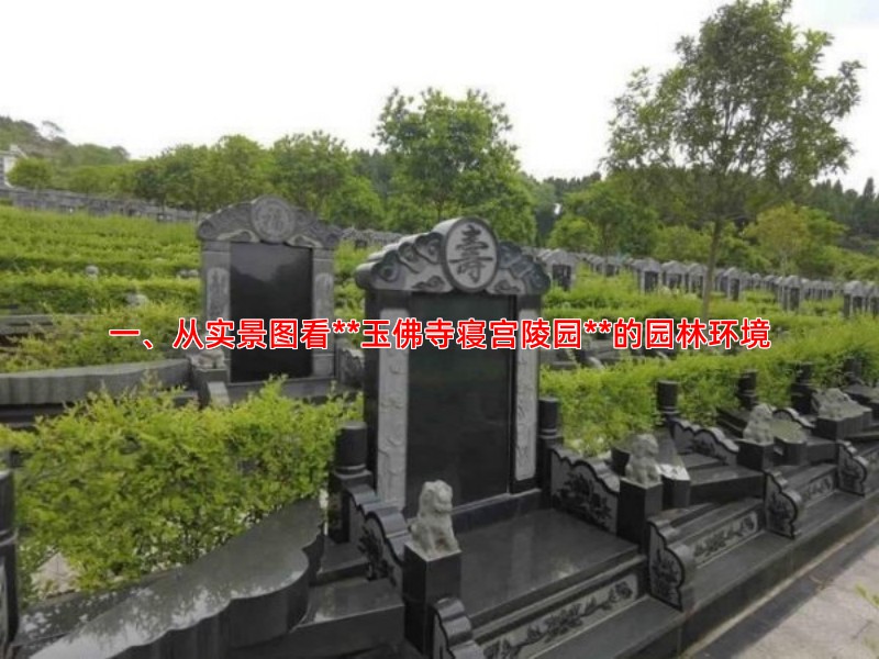 一、从实景图看**玉佛寺寝宫陵园**的园林环境