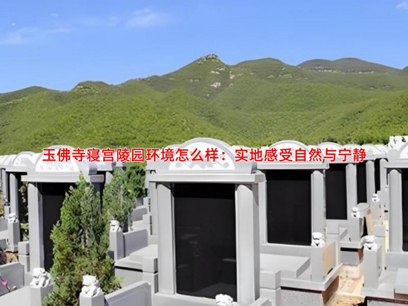 玉佛寺寝宫陵园环境怎么样：实地感受自然与宁静