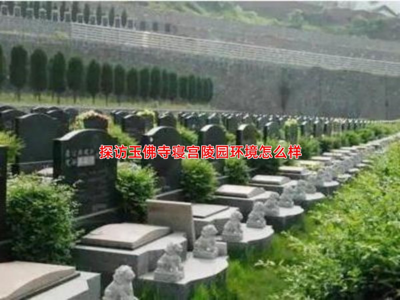 探访玉佛寺寝宫陵园环境怎么样