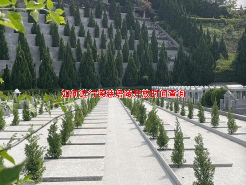 如何进行德慈塔陵开放时间查询