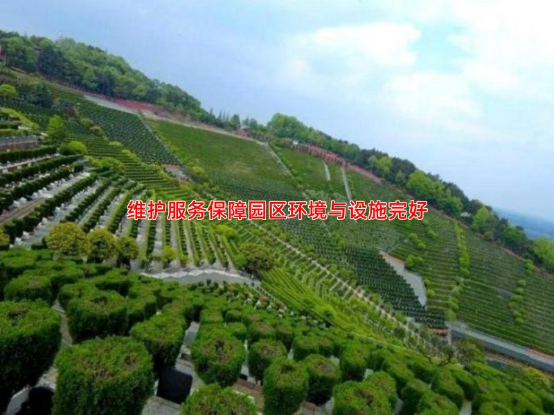 维护服务保障园区环境与设施完好