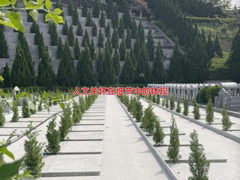 人文关怀在细节中的体现