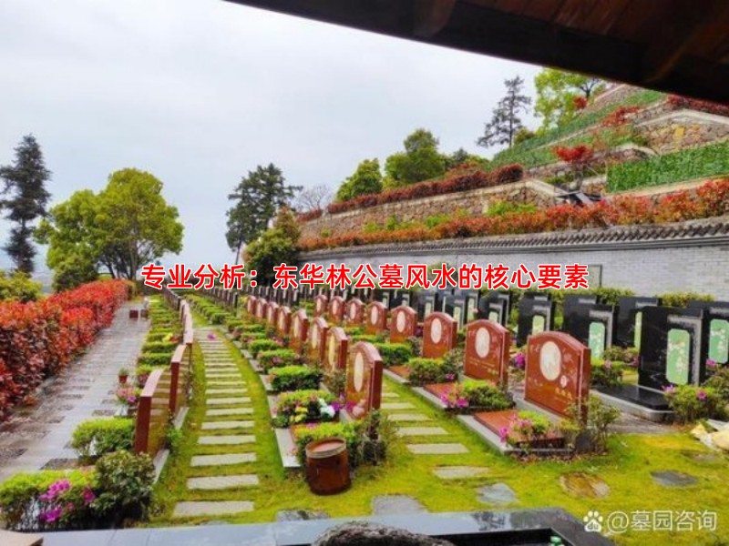 专业分析：东华林公墓风水的核心要素