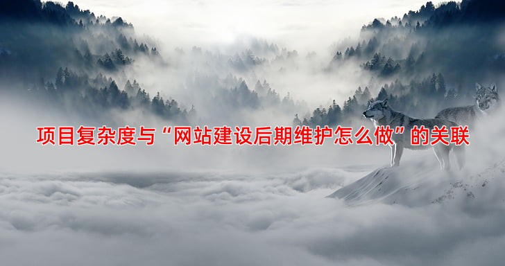 影响SEO优化价格的关键因素有哪些