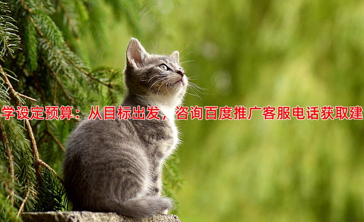 竞价托管优化指南如何设定合理预算与出价策略