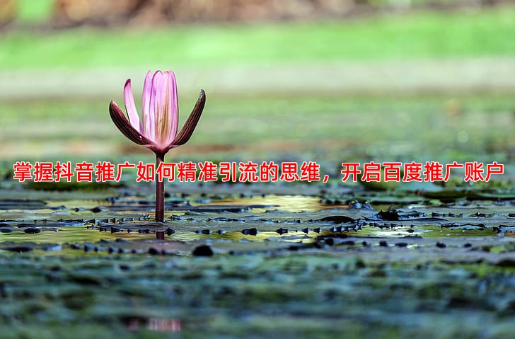 百度推广开户流程详解从注册到上线完整指南