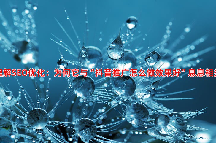 SEO优化是什么意思新手如何快速理解并入门
