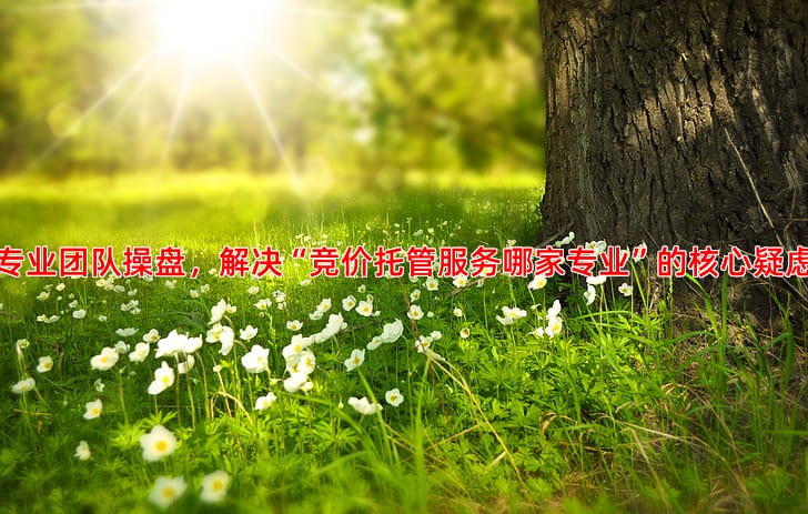 竞价推广效果不佳，托管给专业公司能带来哪些改变