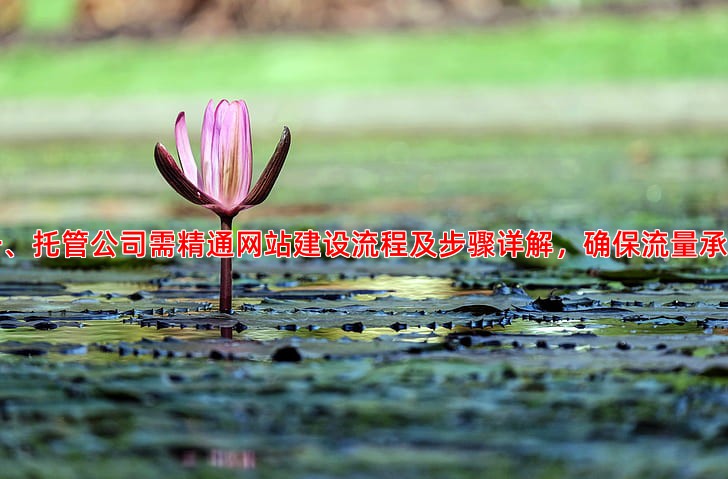 中小企业选择竞价托管公司，应该注重哪些服务细节