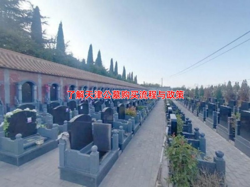 了解天津公墓购买流程与政策