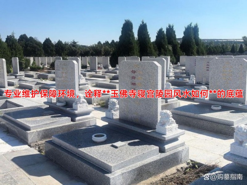 专业维护保障环境，诠释**玉佛寺寝宫陵园风水如何**的底蕴