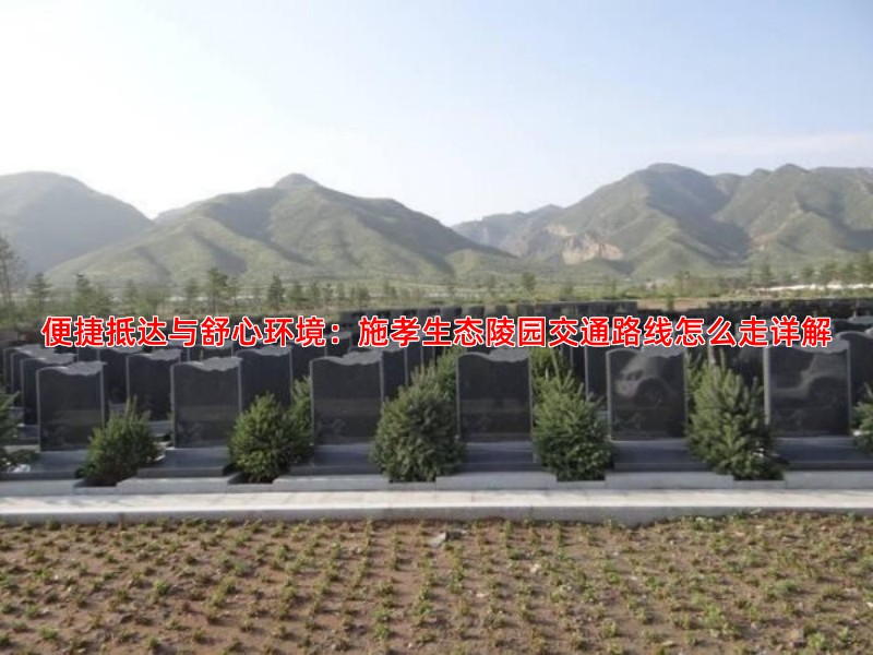 便捷抵达与舒心环境：施孝生态陵园交通路线怎么走详解