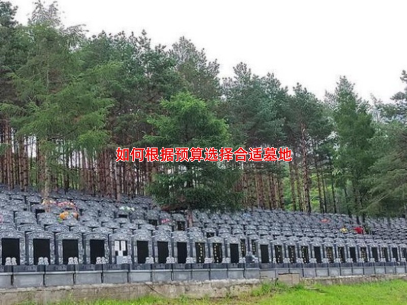 如何根据预算选择合适墓地