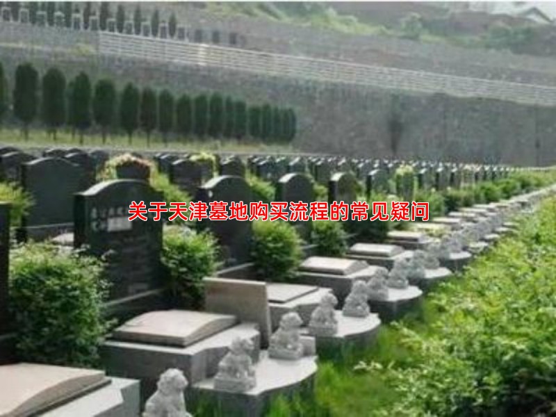 关于天津墓地购买流程的常见疑问