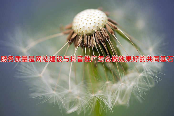 网站建设公司如何选择，服务质量与后期维护很重要
