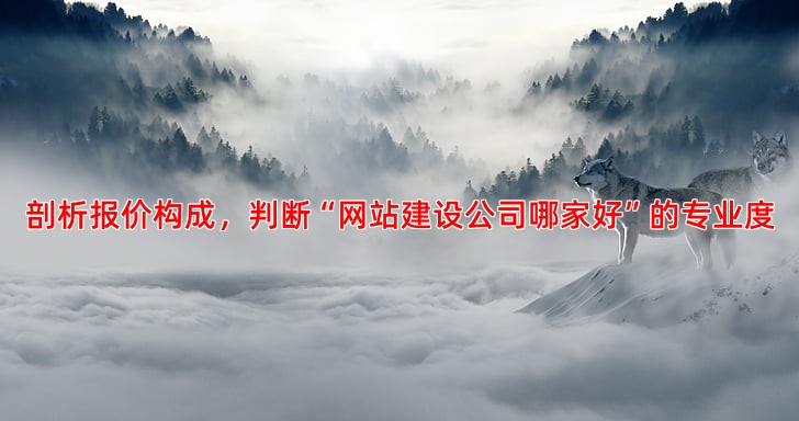 如何评估不同SEO公司报价是否合理