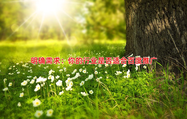竞价托管服务怎么选才能有效提升广告效果