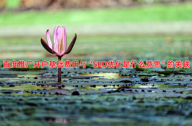 百度推广开户需要多少钱费用明细全解析