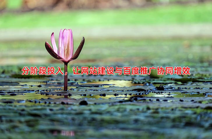 分阶段投入，让网站建设与百度推广协同增效