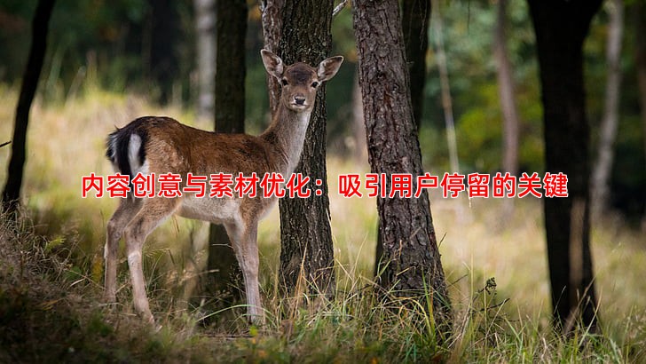 内容创意与素材优化：吸引用户停留的关键