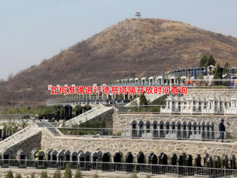 如何准确进行德慈塔陵开放时间查询